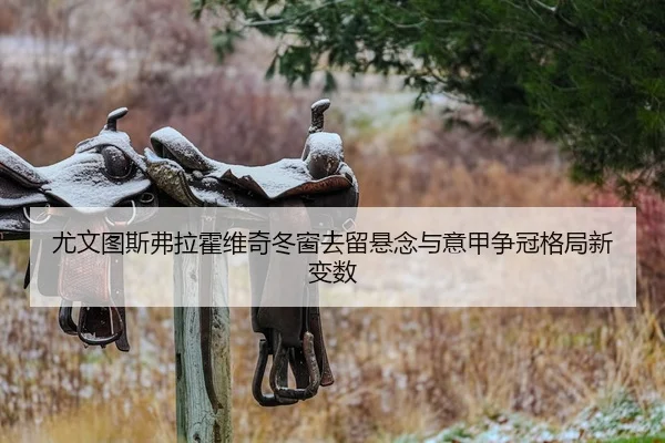 尤文图斯弗拉霍维奇冬窗去留悬念与意甲争冠格局新变数