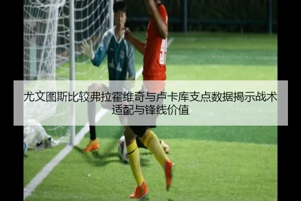 尤文图斯比较弗拉霍维奇与卢卡库支点数据揭示战术适配与锋线价值